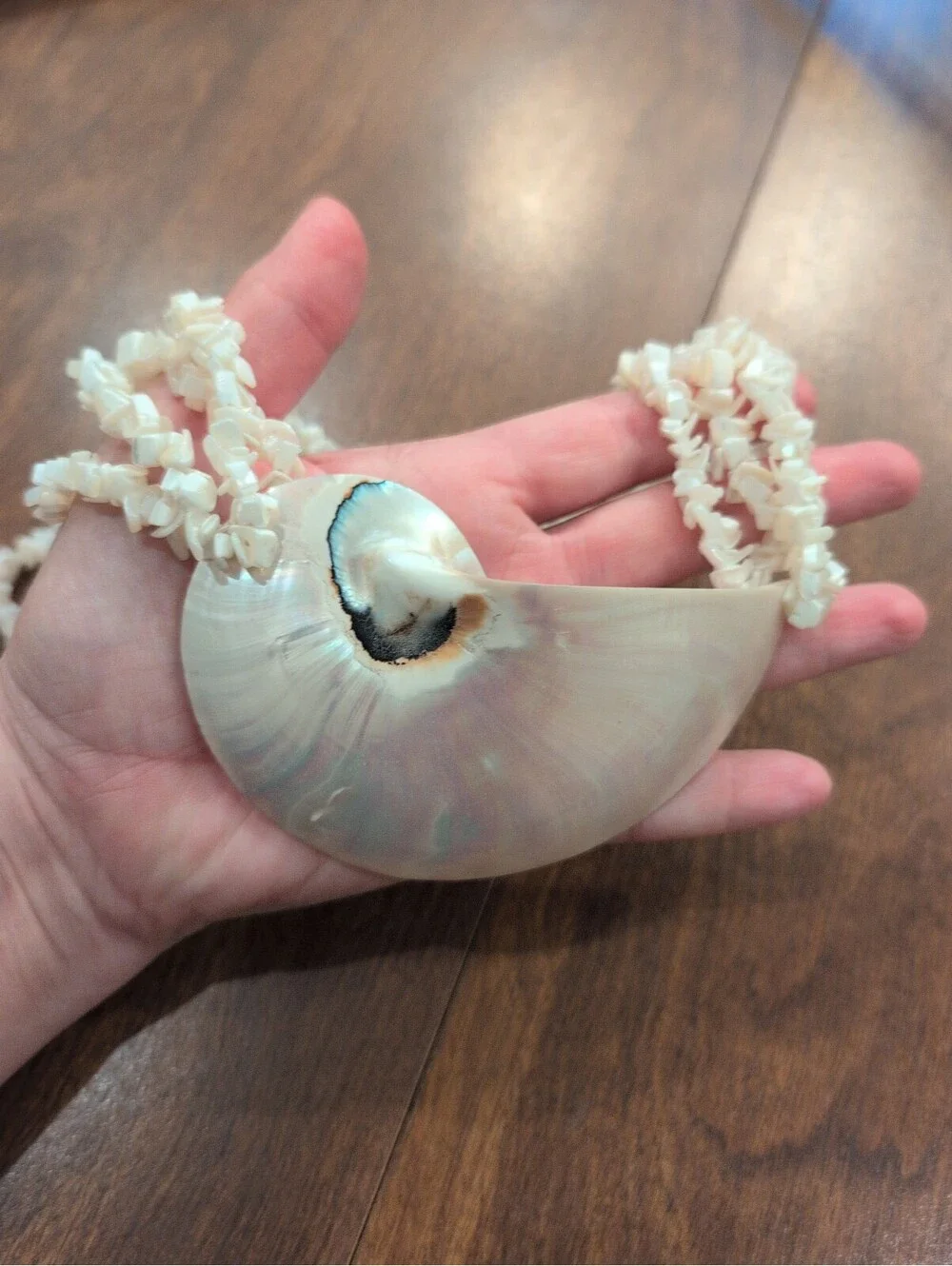 Vintage Multi Strand Mother of Pearl Nautilus Shell Statement Necklace